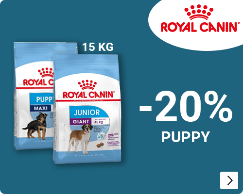 Royal Canin puppy junior -20% DOG